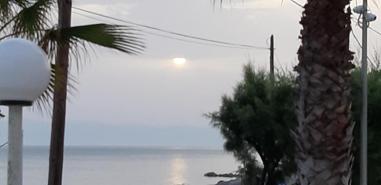 Sidari Beach Hotel Hotel